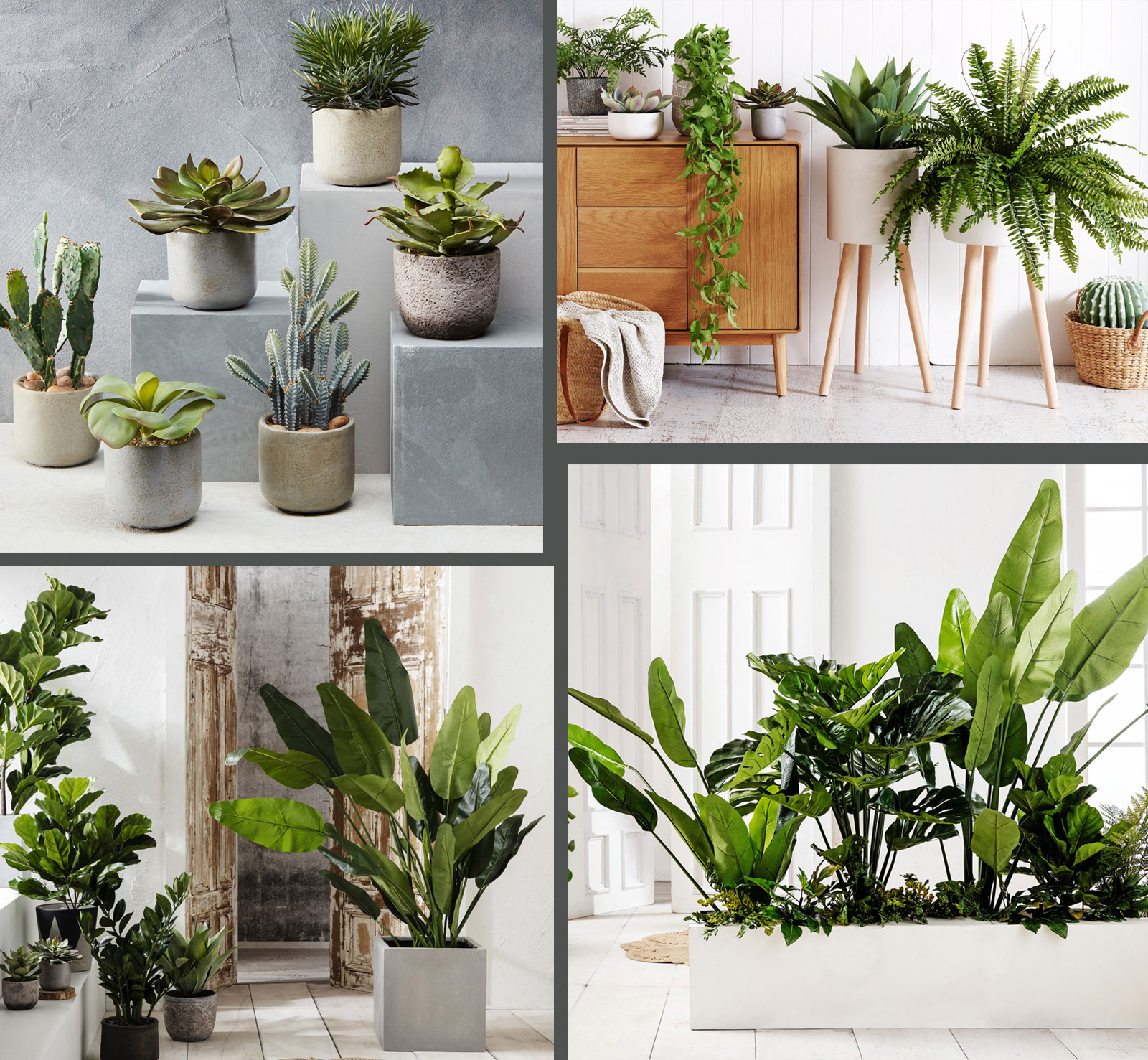 Here’s Why You Should Fill Your Home With Gorgeous Greenery From ...